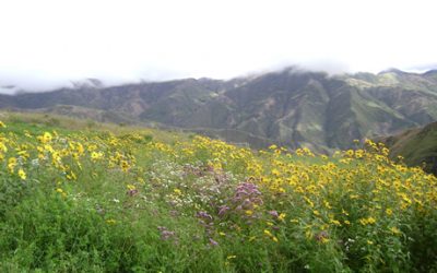 Recursos Naturales(Acacio)